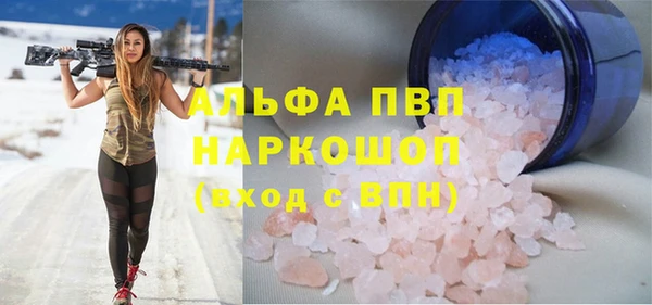 прущие грибы Майский
